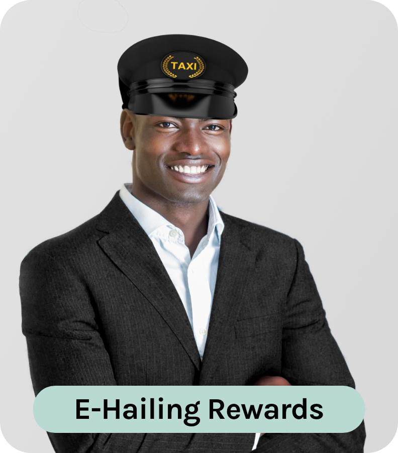 E-Hailing_Profile